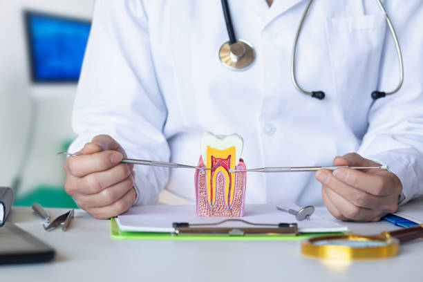Best Dentist for Tooth Abscess  in Peekskill, NY